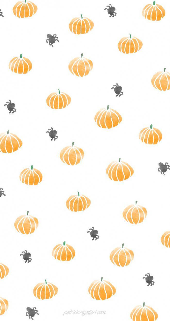 Cute Pumpkins And Spiders Fall Halloween Background