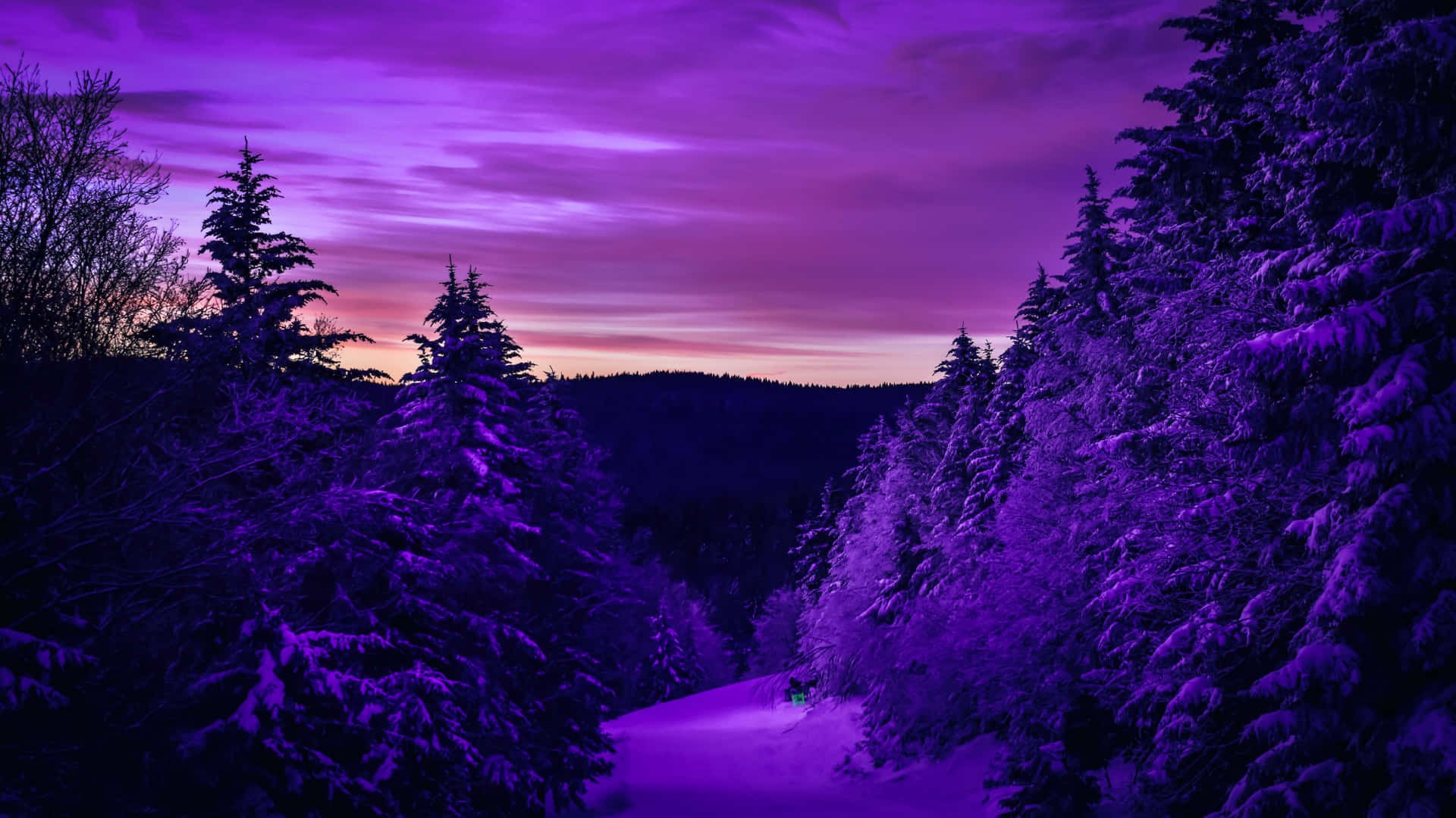 Cute Purple Aesthetic Pine Tree Mountain Background
