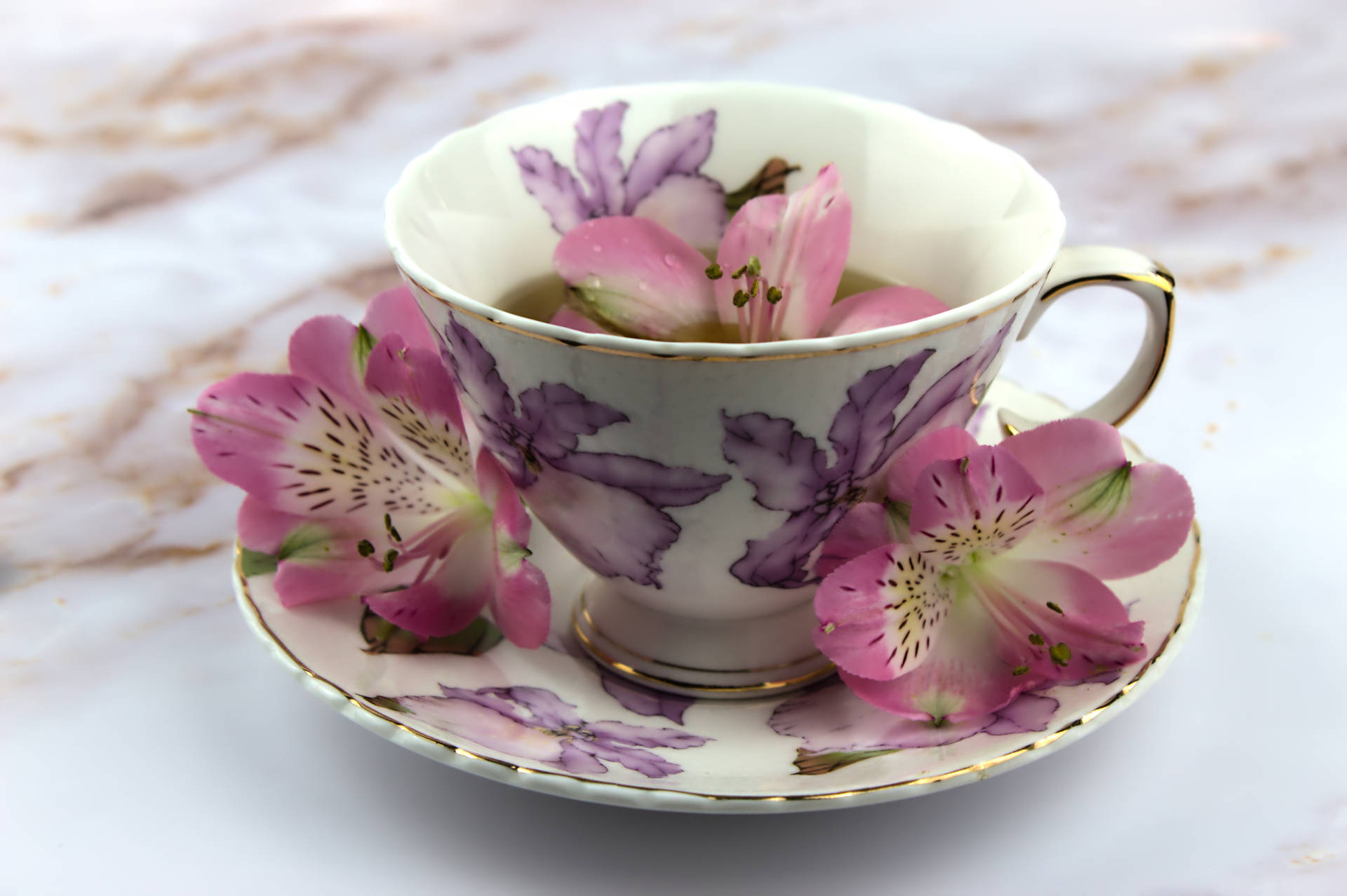 Cute Purple Ceramic Cup Background