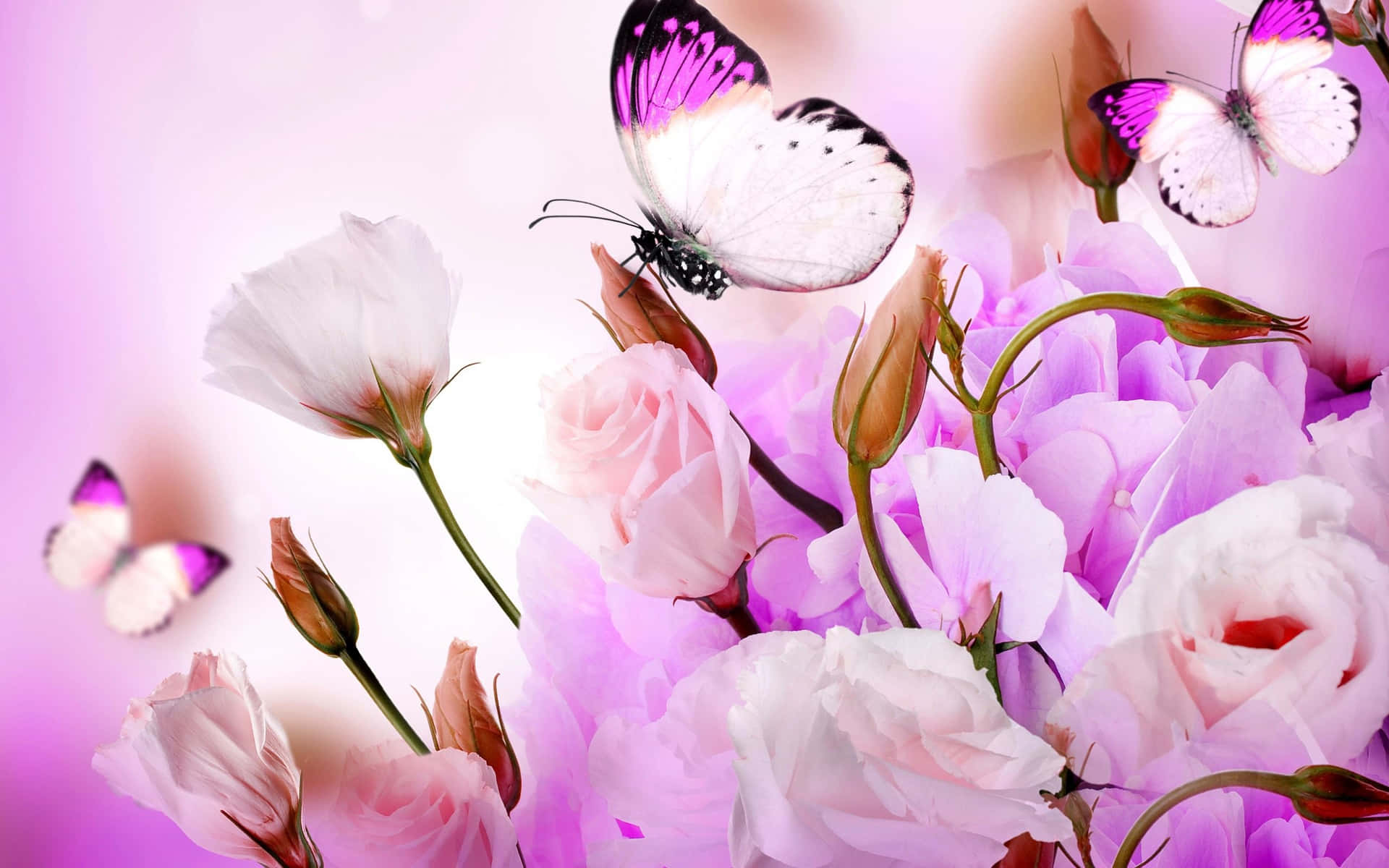 Cute Purple Flowers And Butterflies Hd Background