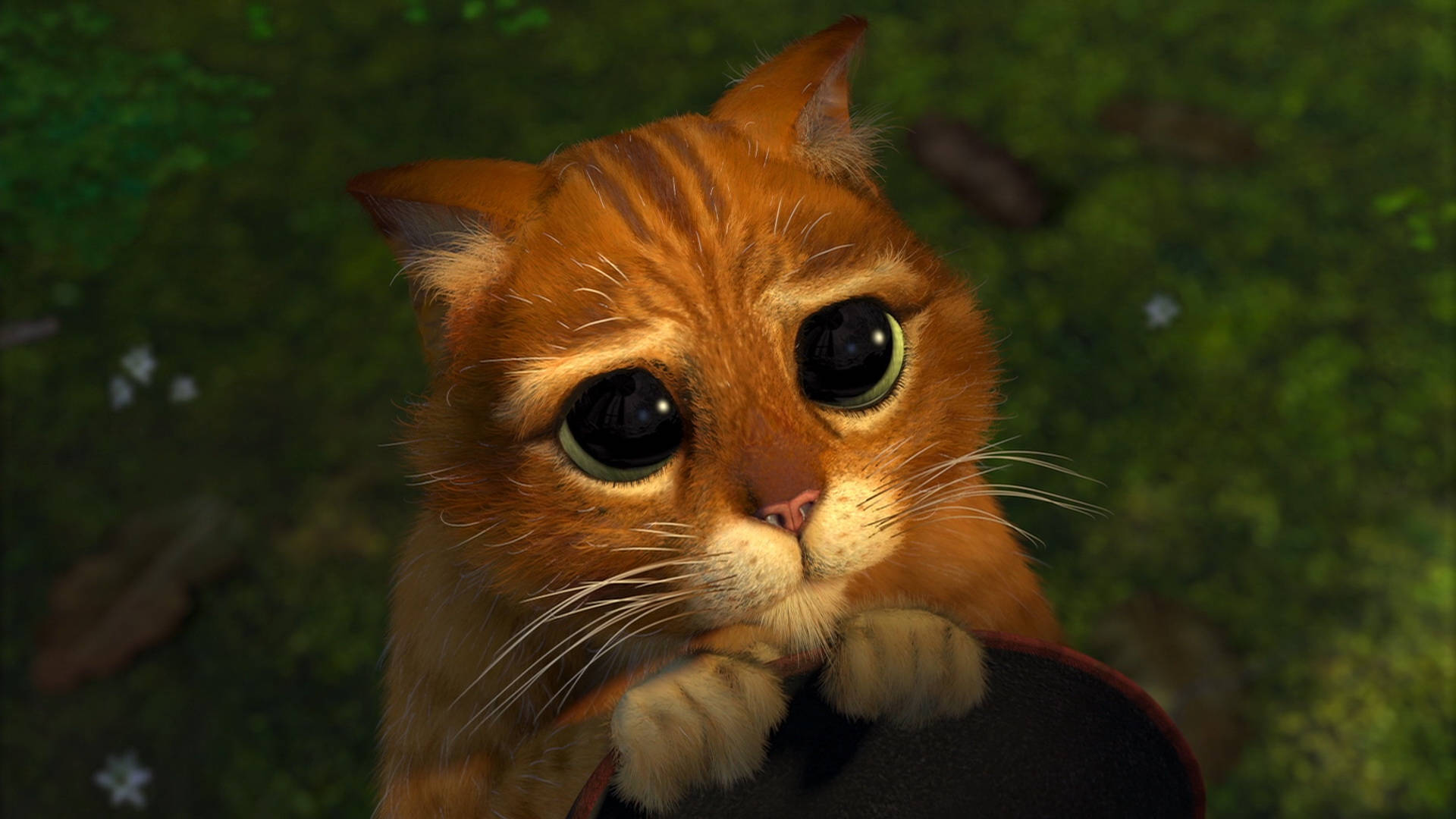 Cute Puss In Boots Shrek 2