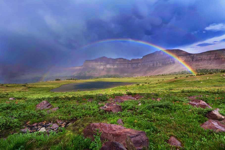 Cute Rainbow On Field