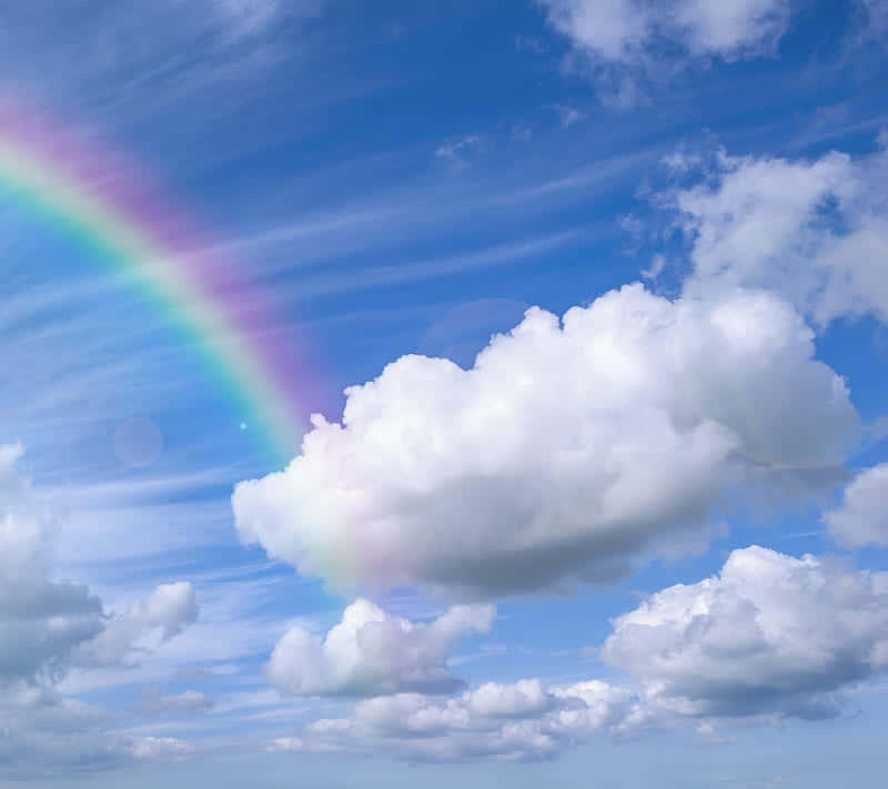 Cute Rainbow With Sunlight Background