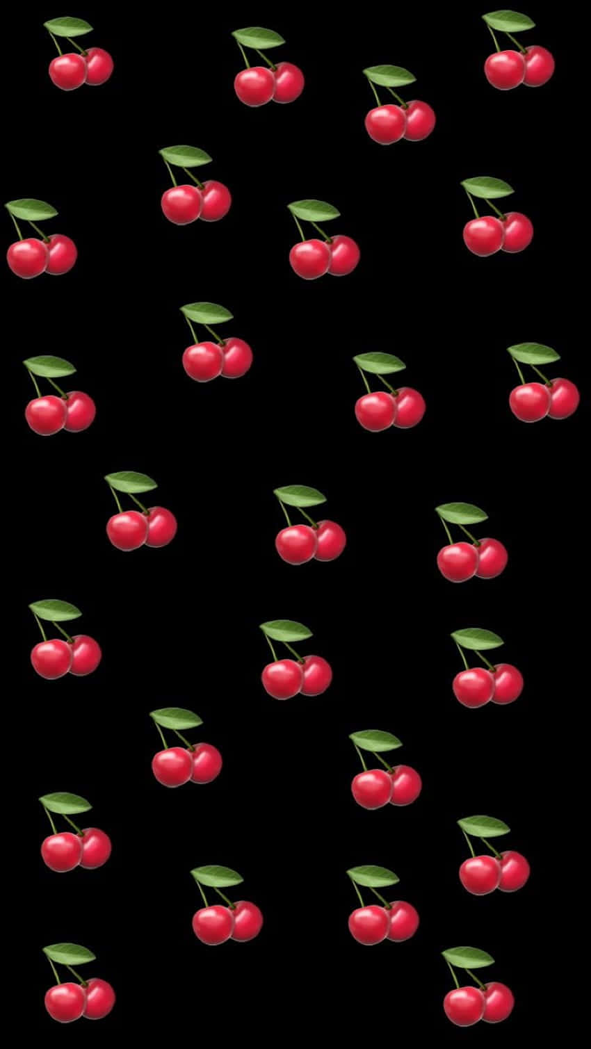 Cute Red Cherries With Glossy Surface