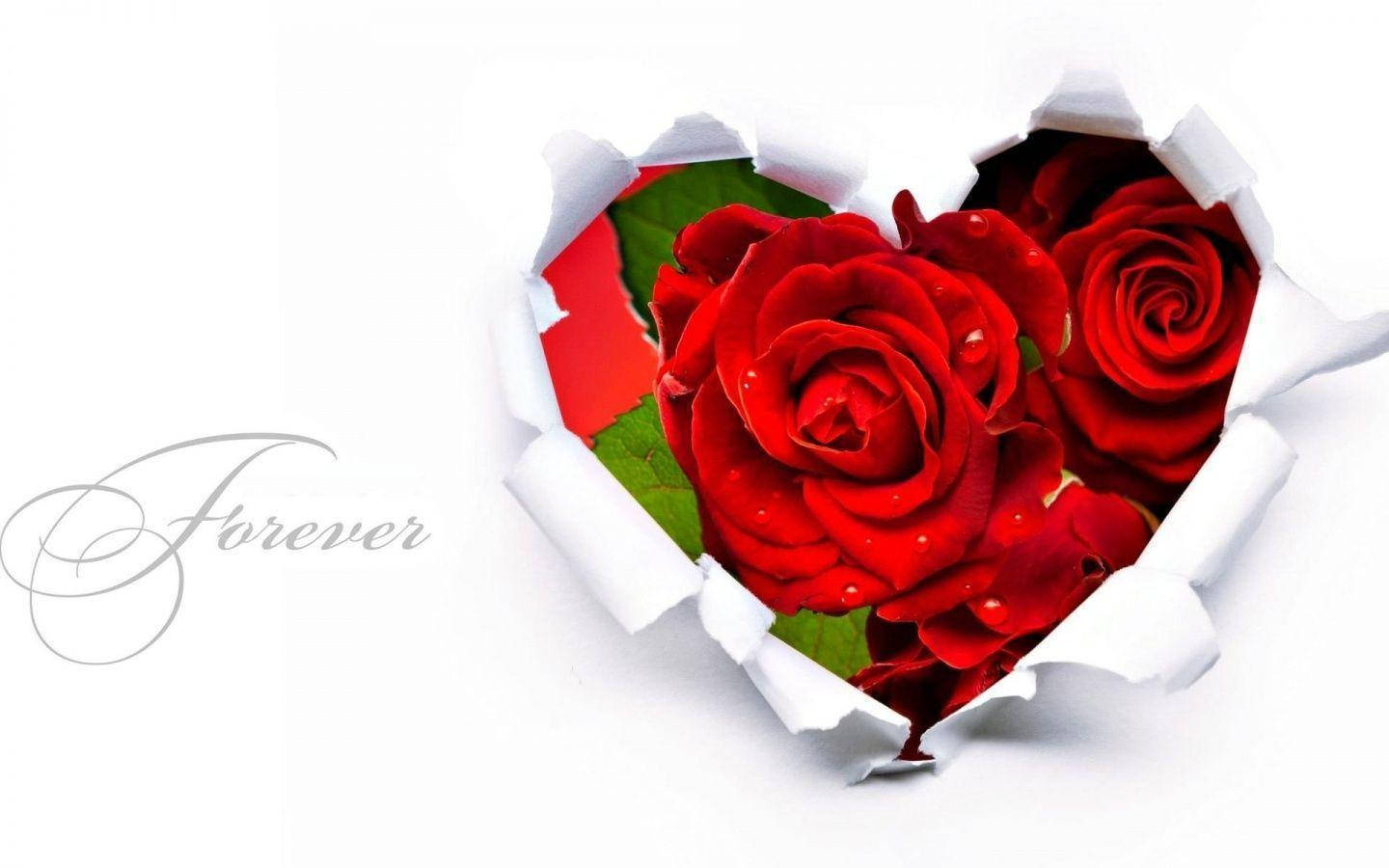 Cute Red Heart Rose Flowers Background