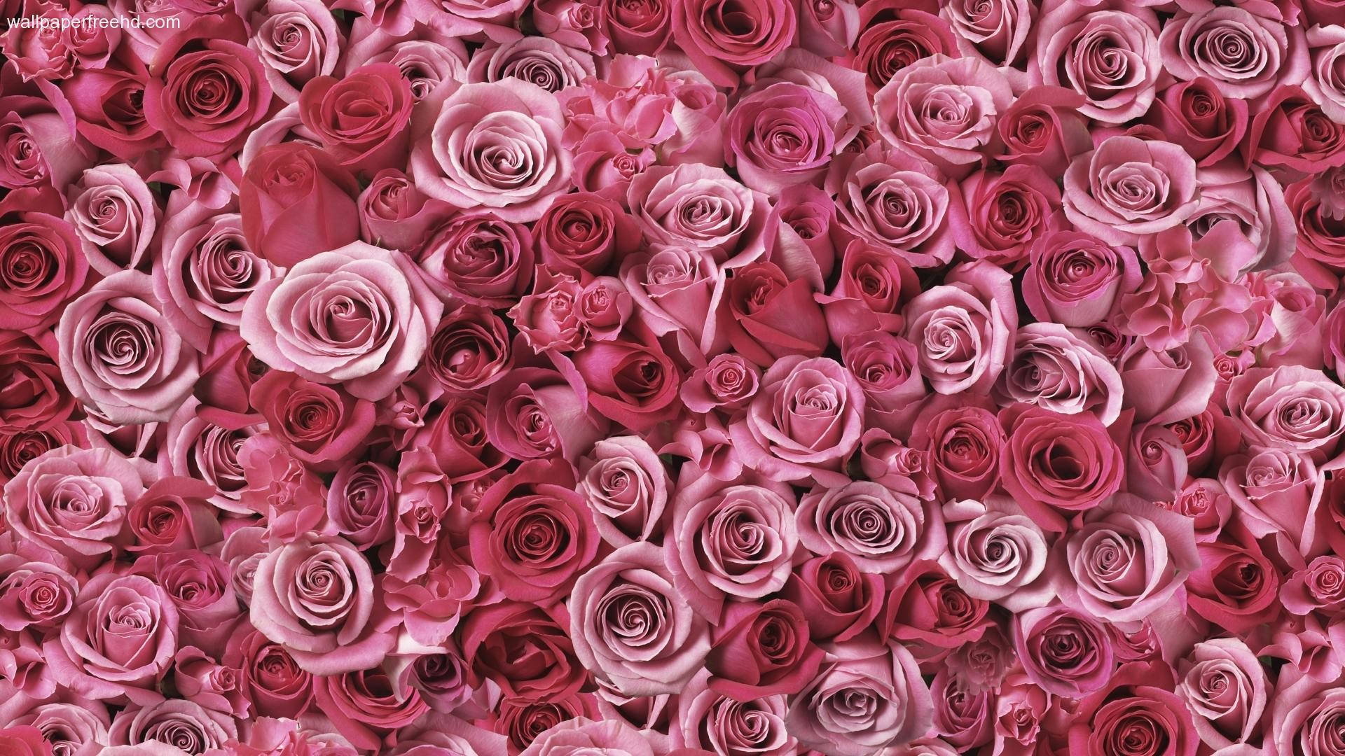 Cute Rose Gold Flowers Background