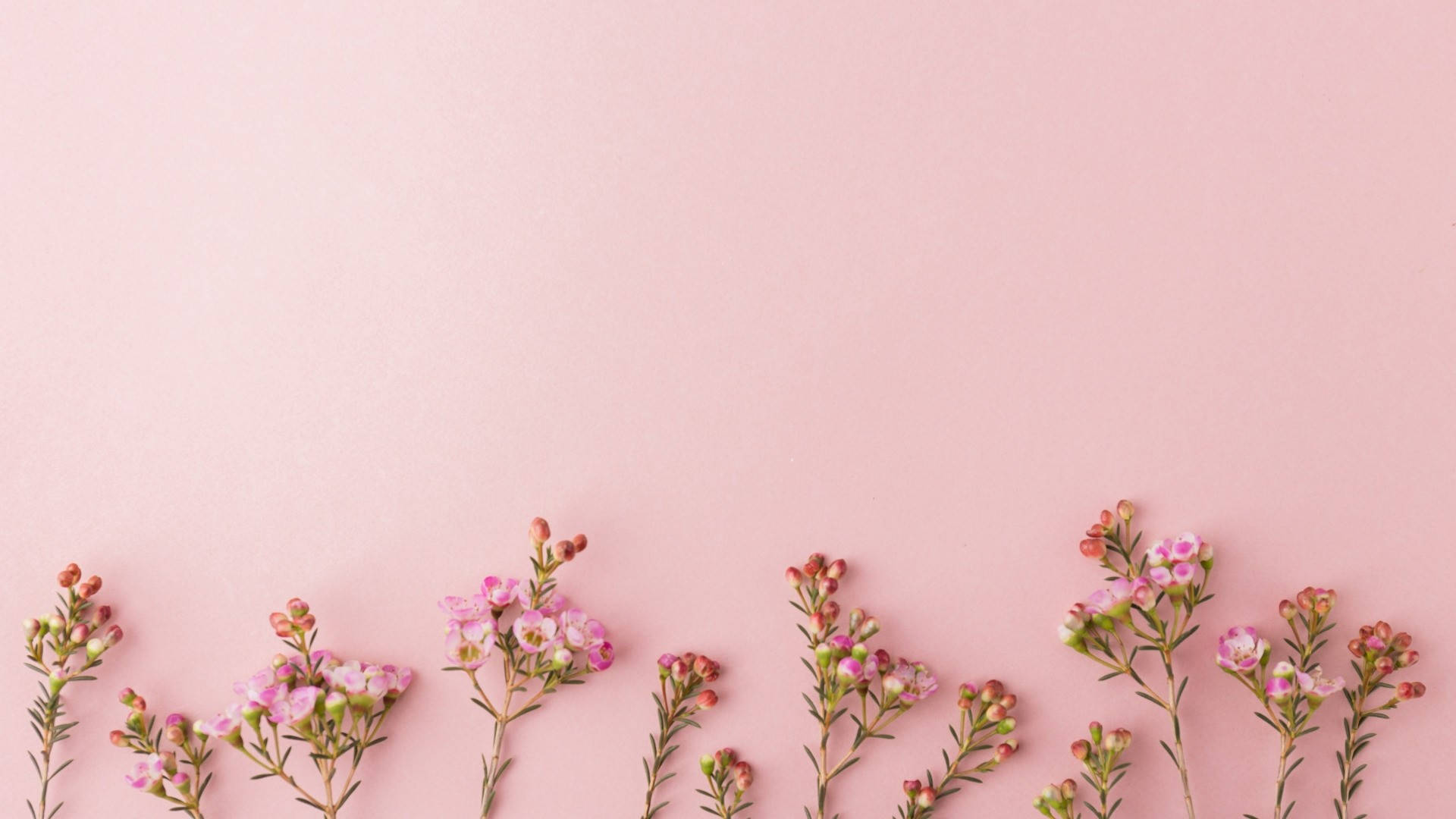 Cute Rose Gold Flowers Background