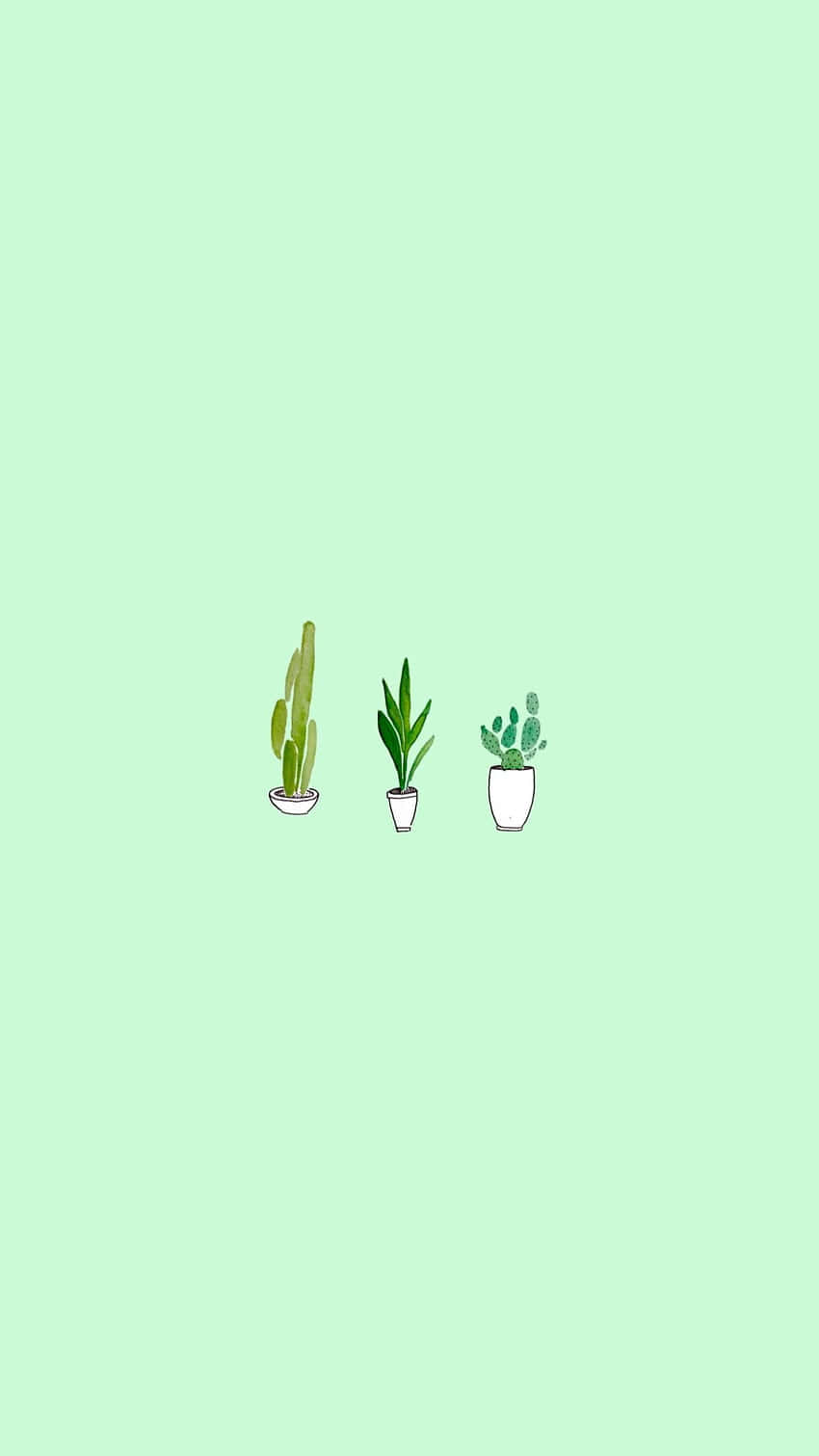 Cute Sage Green Cactus And Two House Plants
