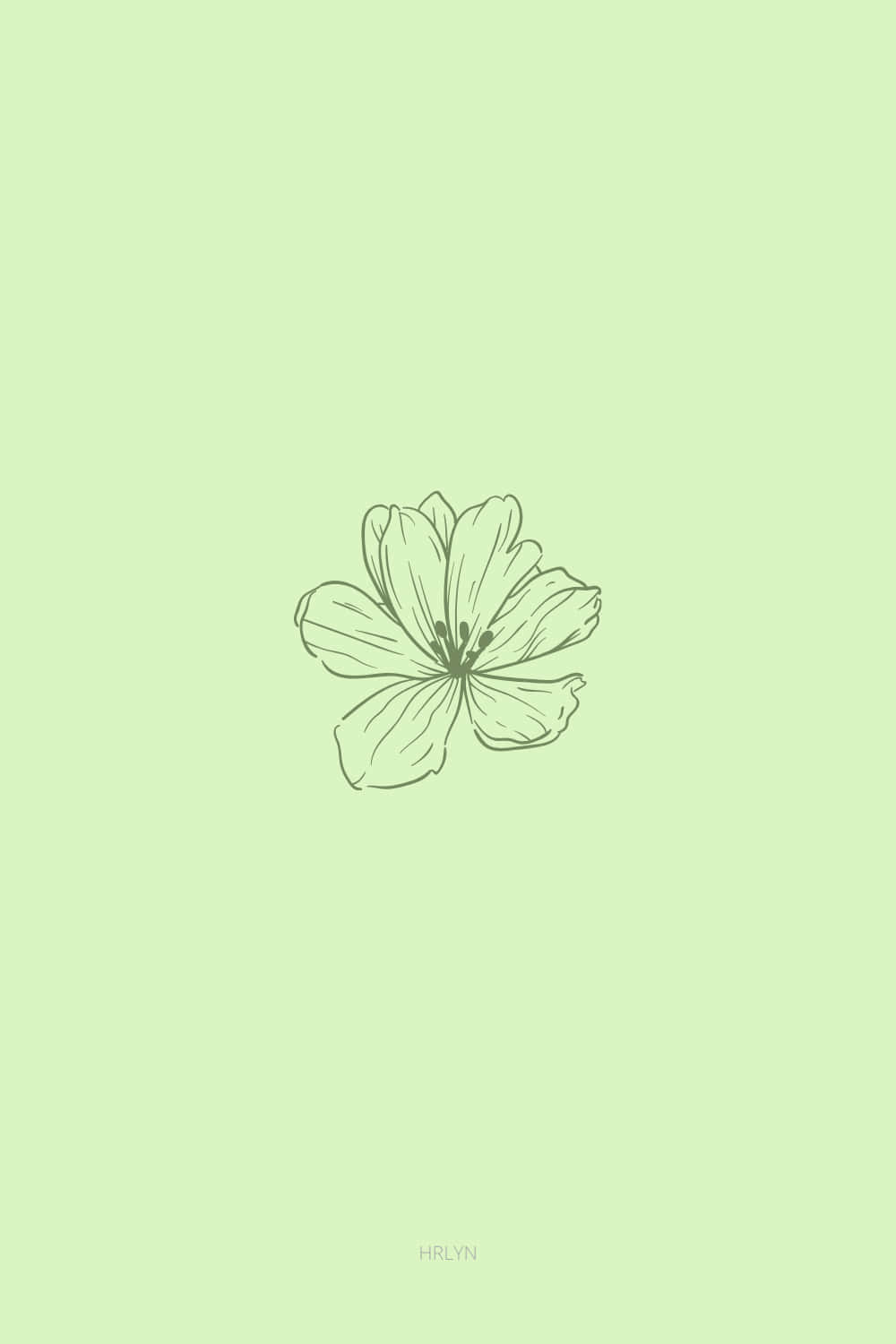 Cute Sage Green Flower Drawn On The Center Background