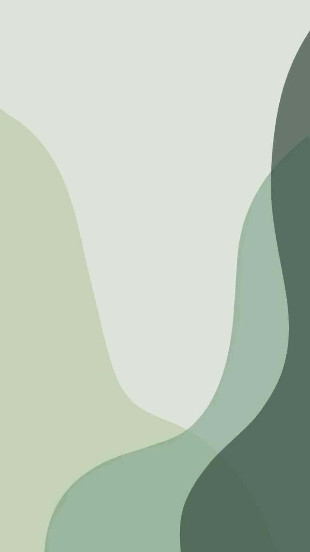 Cute Sage Green See Through Curving Slope Shapes