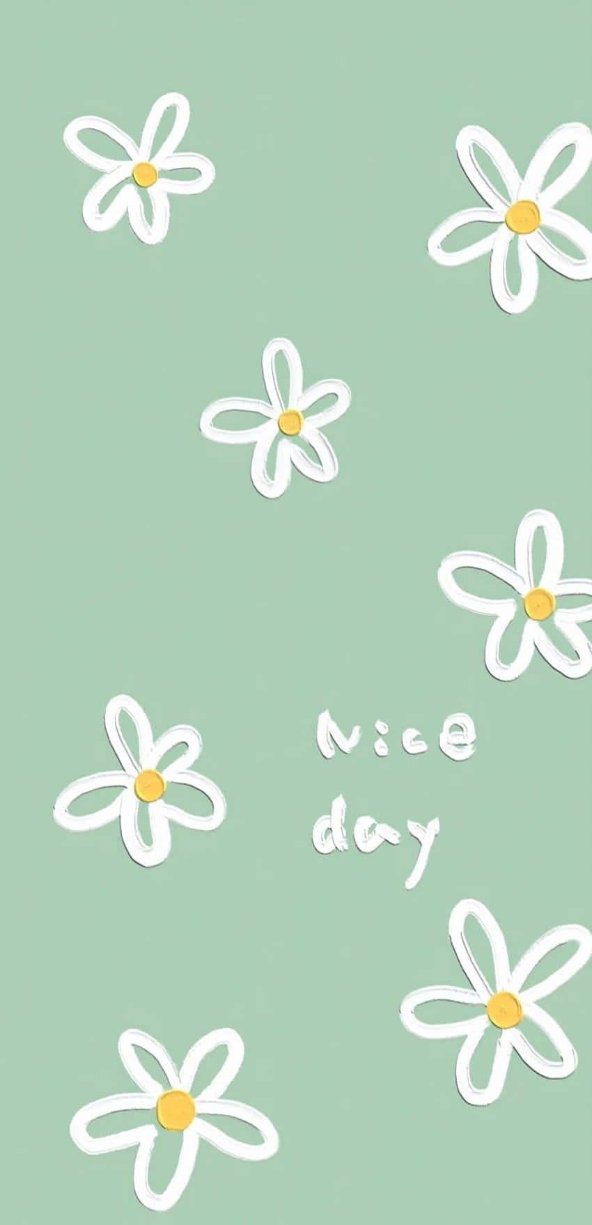 Cute Sage Green White Daisies Nice Day Background