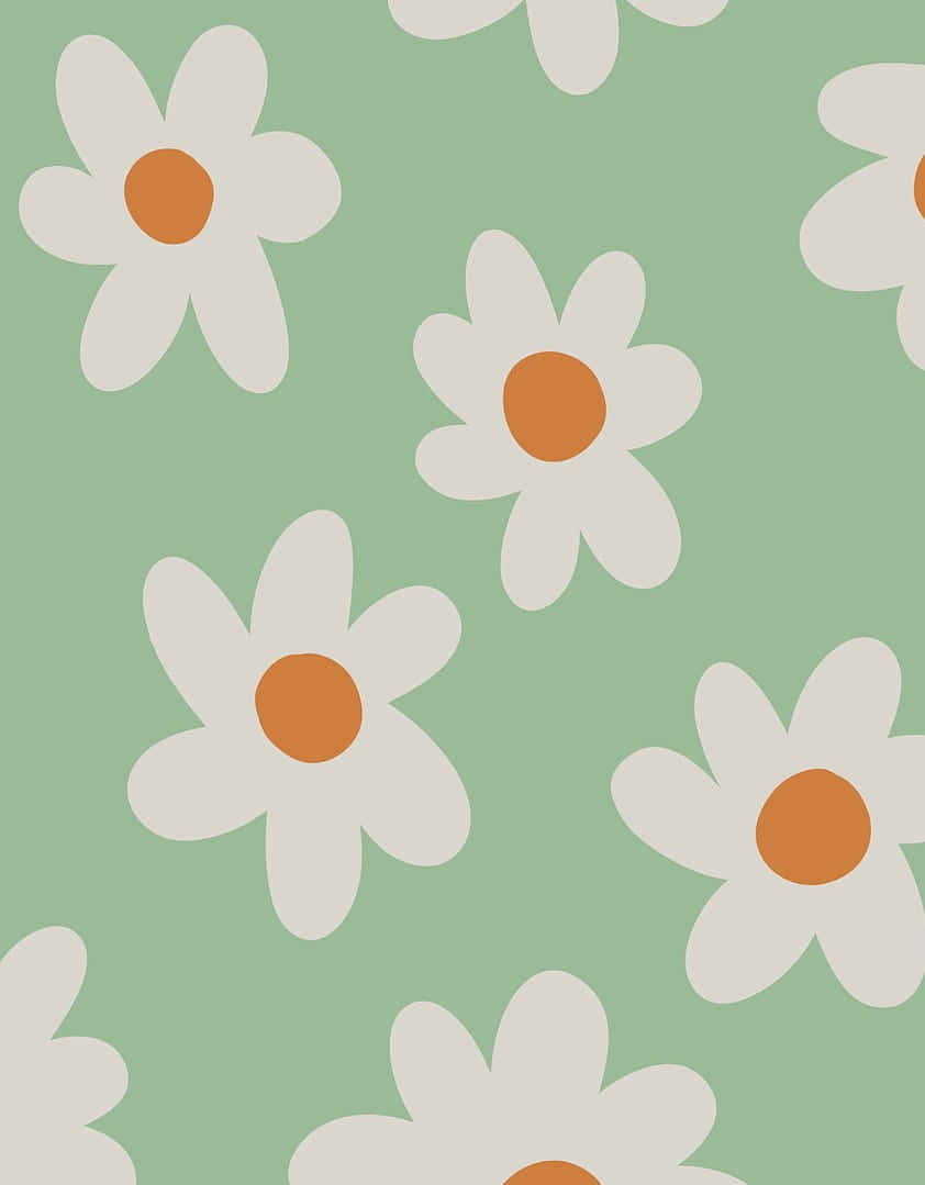 Cute Sage Green White Daisies With Solid Petals