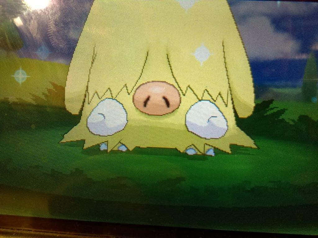 Cute Shiny Piloswine Background