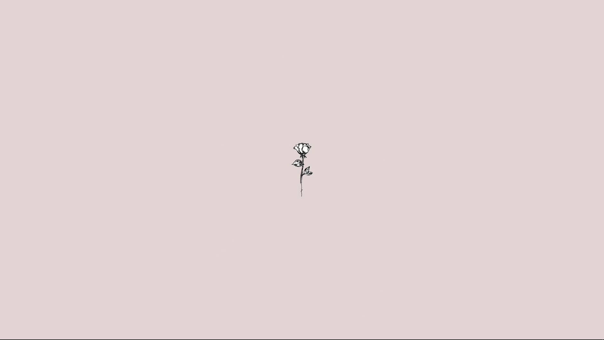 Cute Simple Aesthetic Sketch Rose Desktop