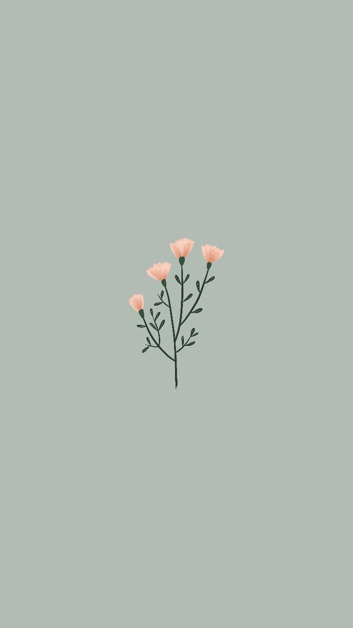 Cute Simple Pink Flowers Background