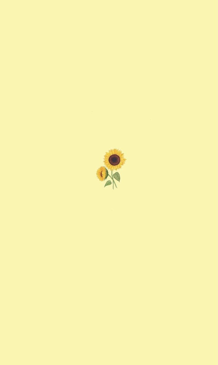 Cute Simple Sunflower