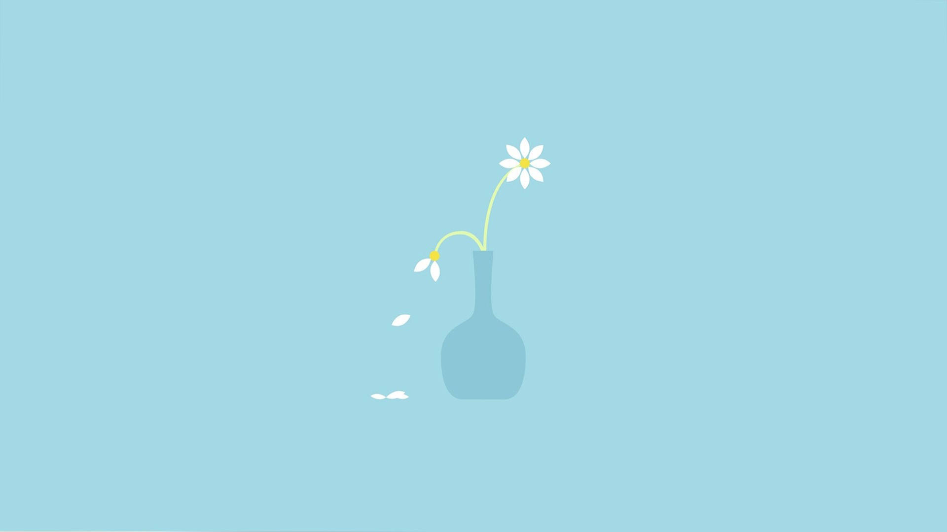 Cute Simple White Flowers Background