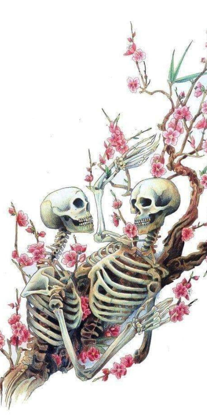 Cute Skeleton Iphone Couple Background