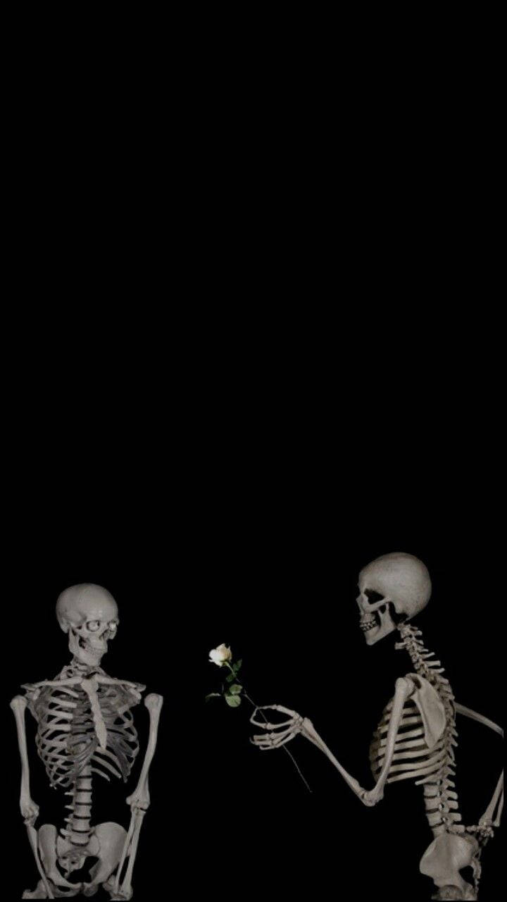 Cute Skeleton Lovers