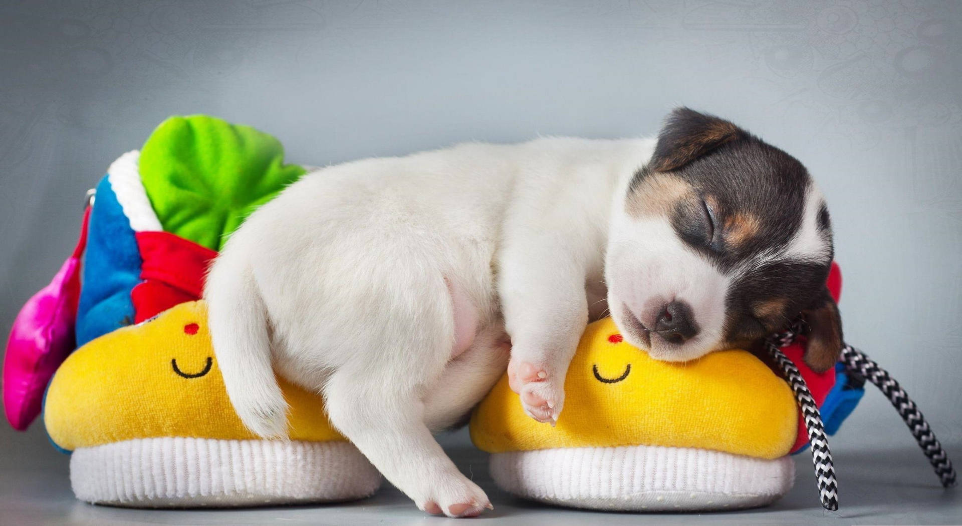 Cute Sleeping Baby Dog With Pillow Toys