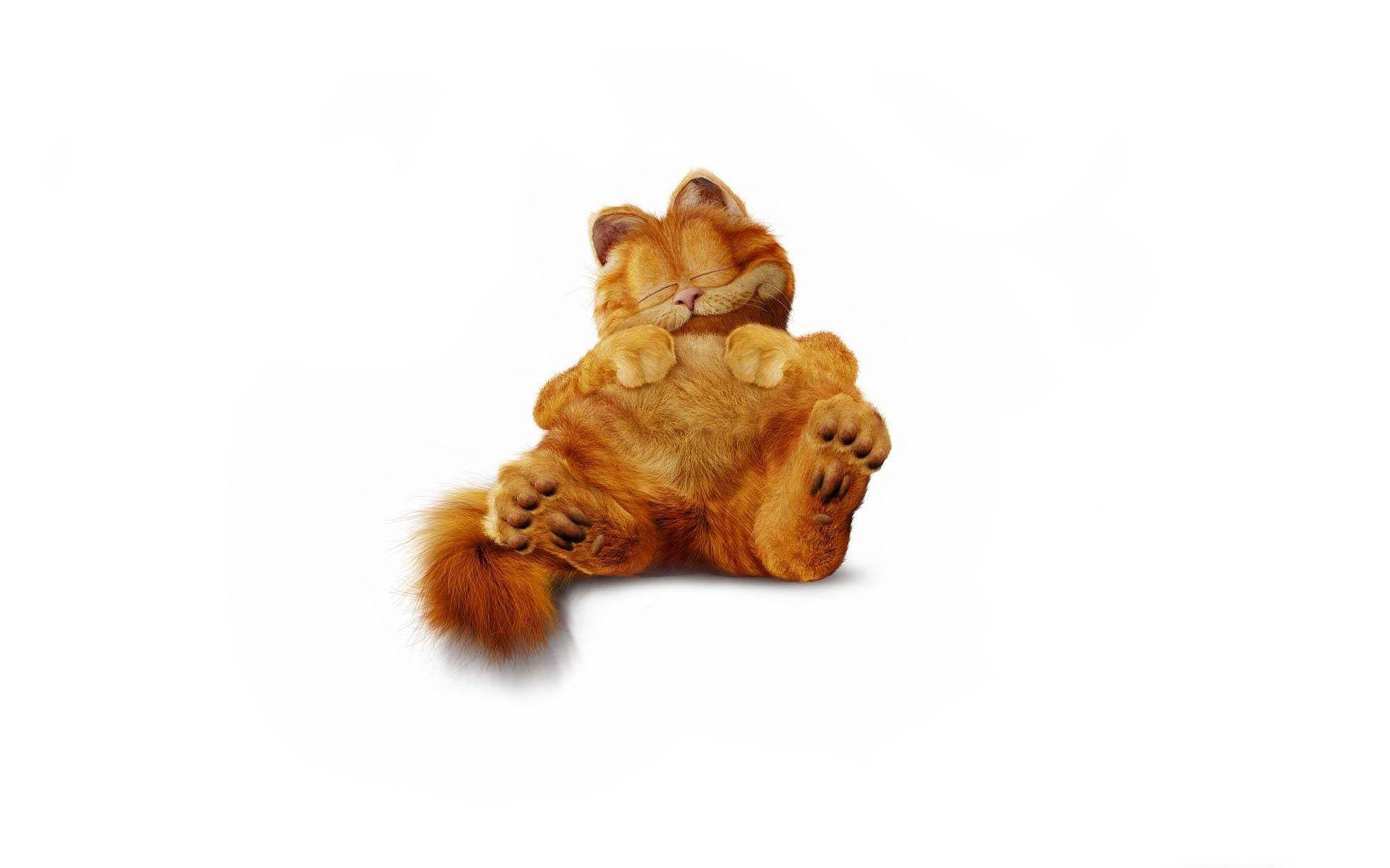 Cute Sleeping Garfield Background