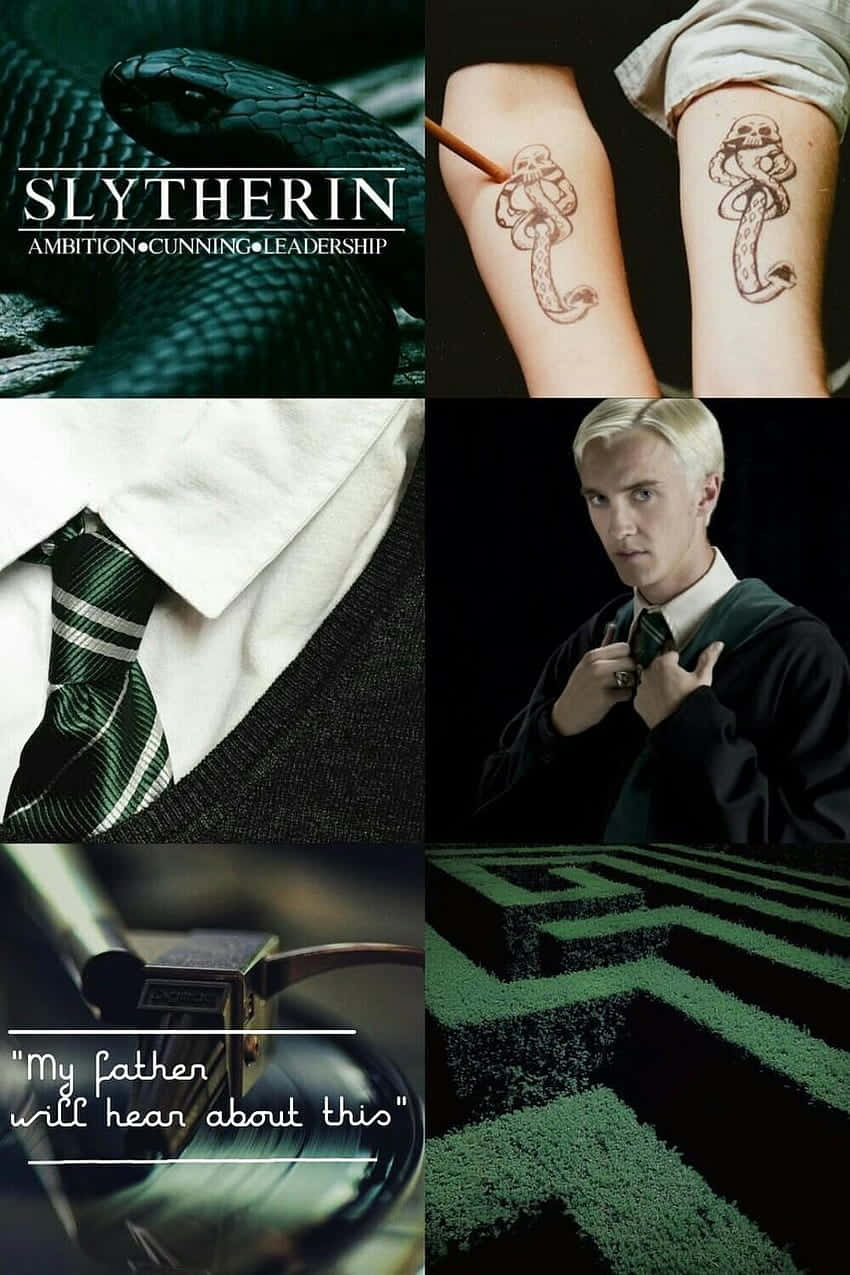 Cute Slytherin Draco Malfoy Background