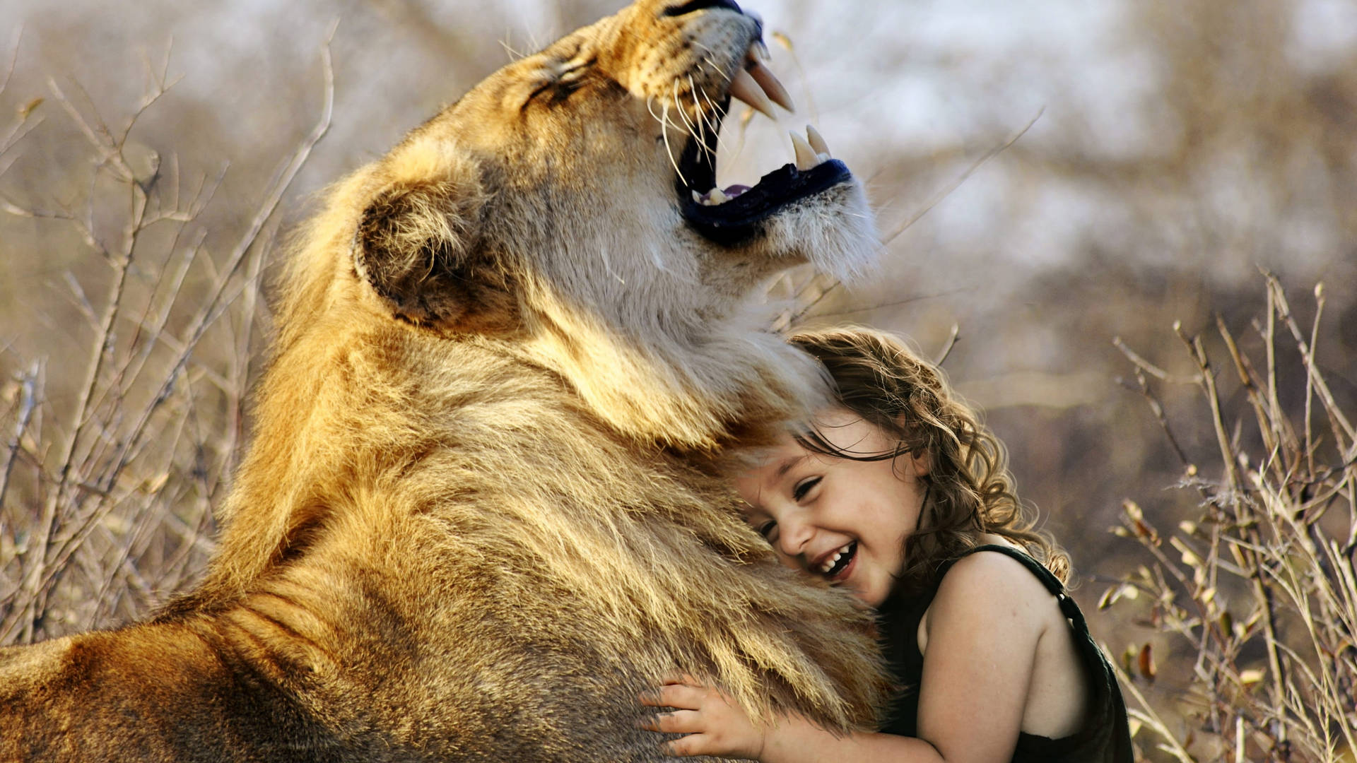 Cute Smile Girl And Lion Background