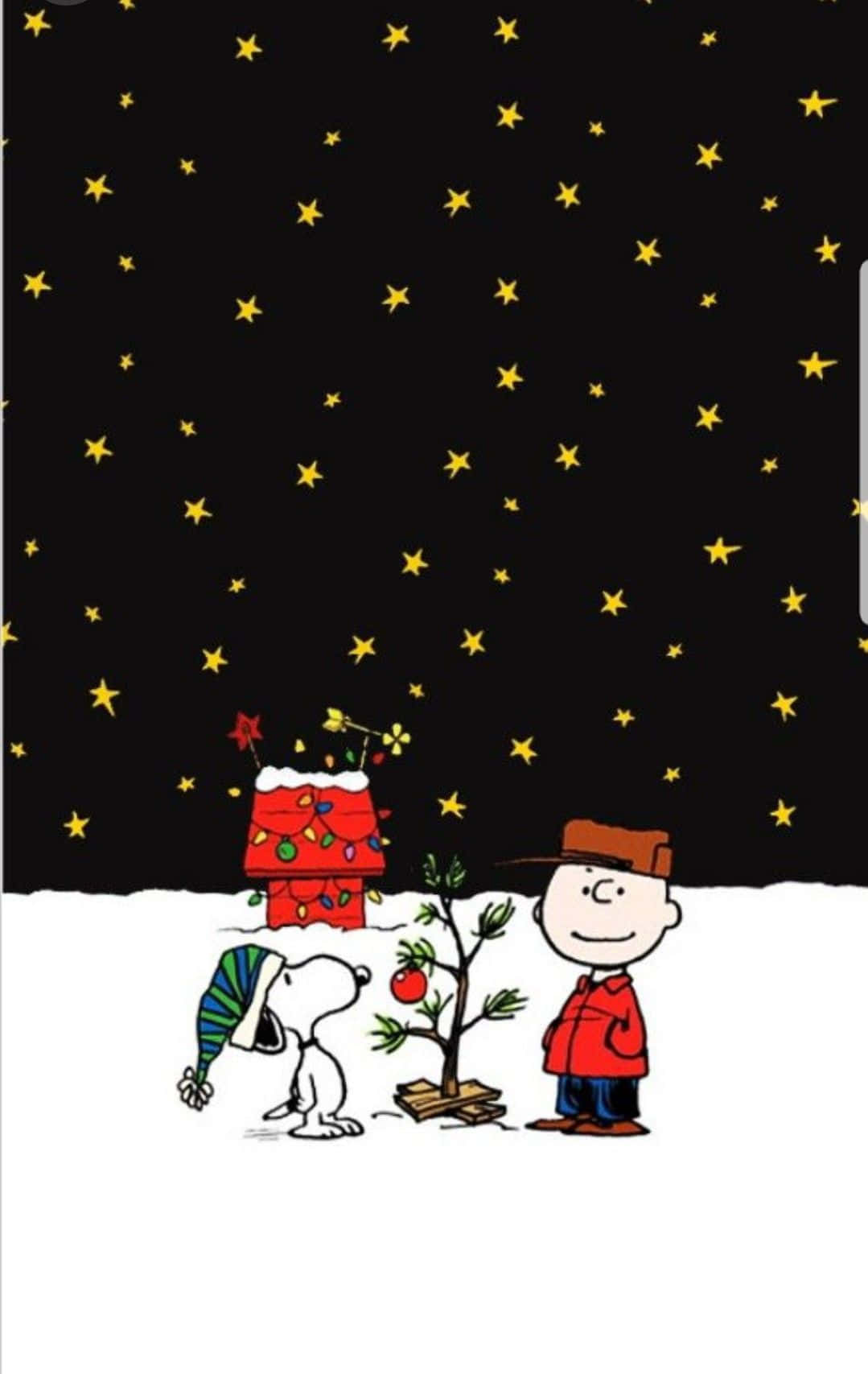 Cute Snoopy Christmas Dark Evening With Stars Background