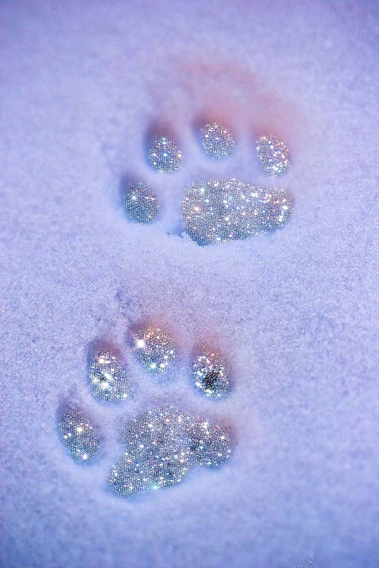 Cute Snow Furry Paws Sparkle Aesthetic Background