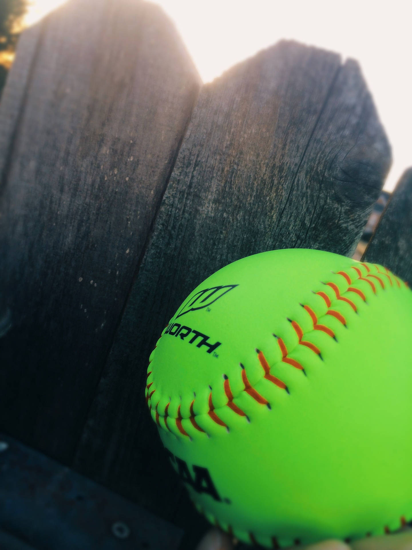 Cute Softball In Backyard Background