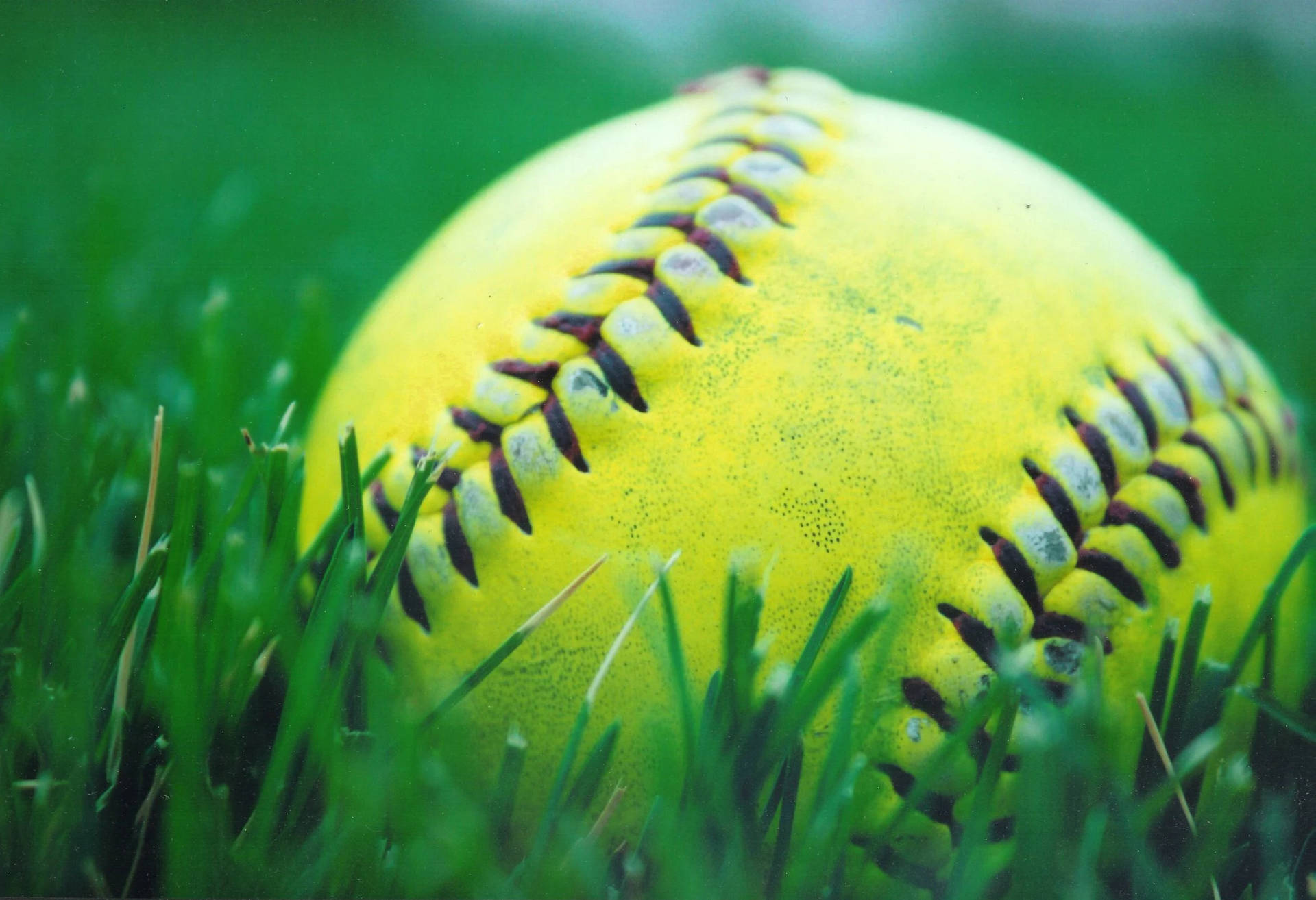 Cute Softball On The Grass Background