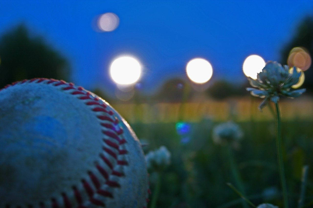 Cute Softball With Flower Background