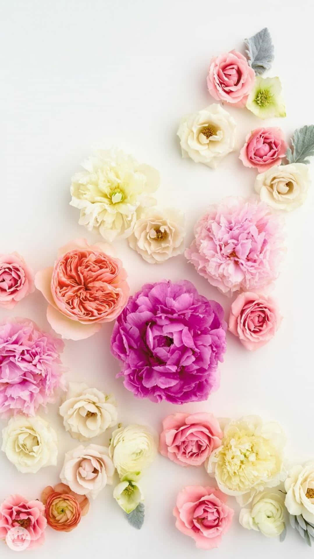 Cute Spring Artificial Iphone Background