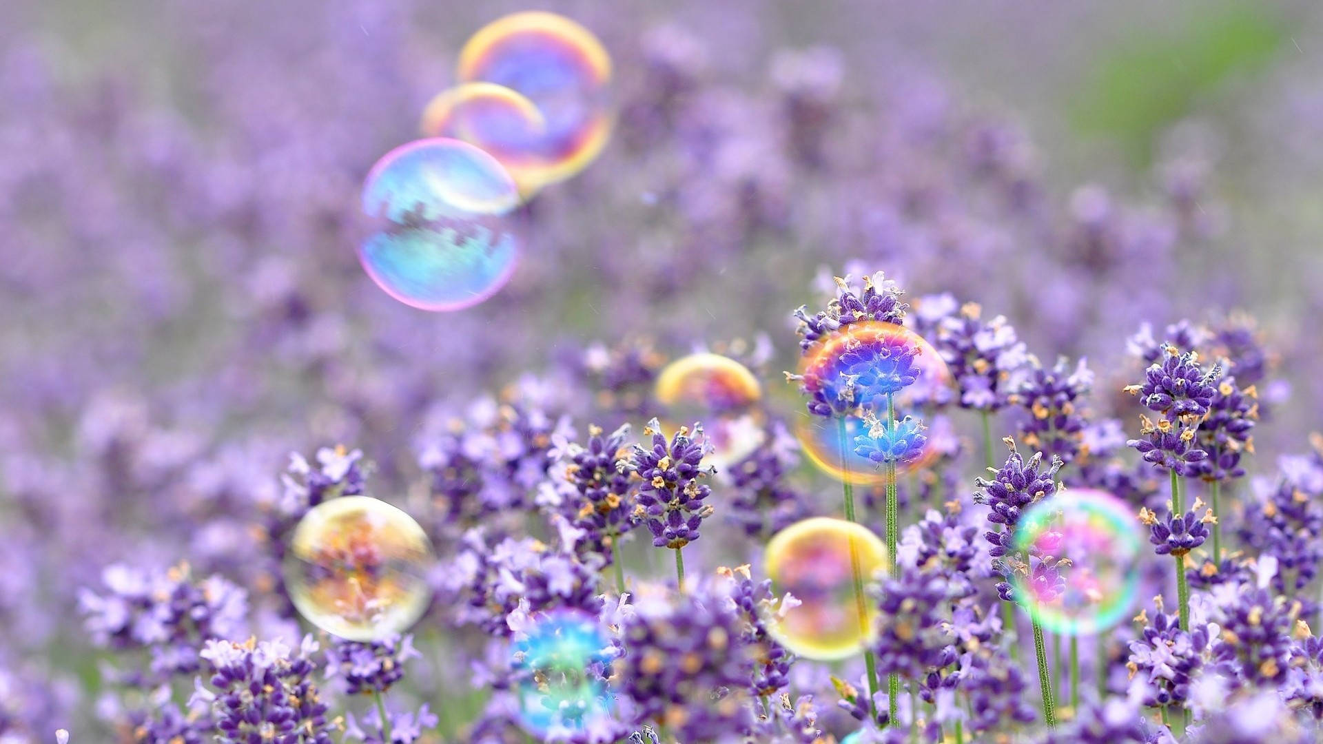 Cute Spring Bubbles