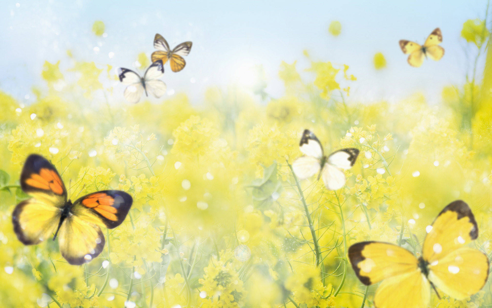 Cute Spring Butterflies Background
