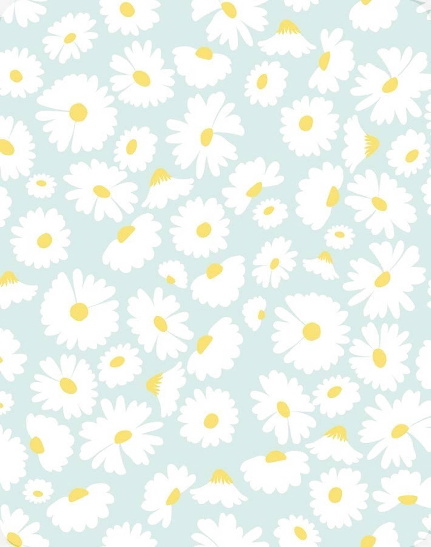 Cute Spring Daises Pattern Background