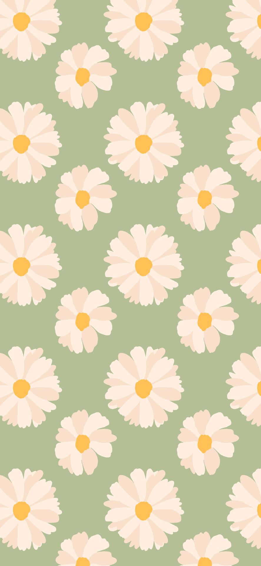 Cute Spring Daisies Iphone Background