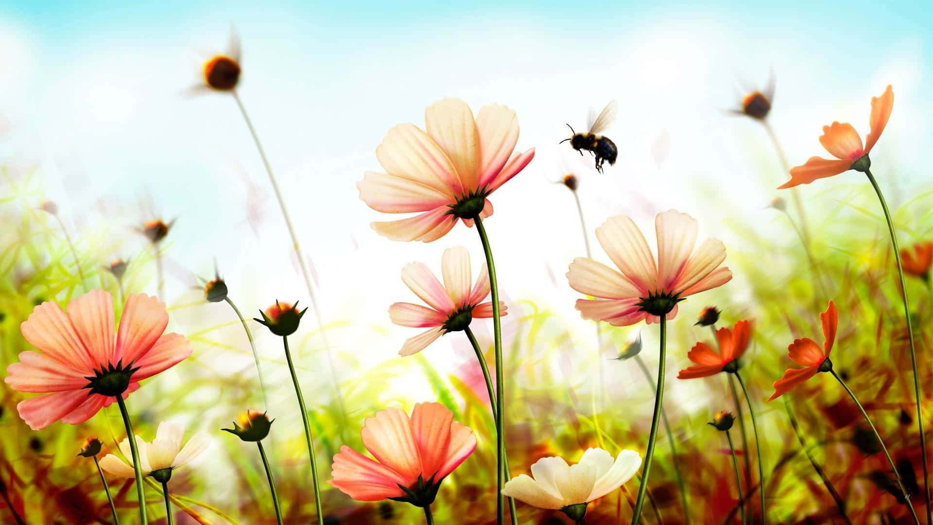 Cute Spring Desktop With Bee Background