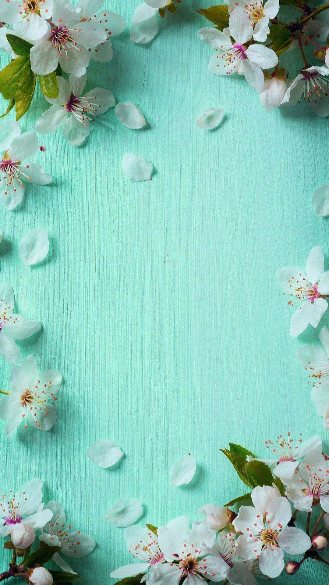 Cute Spring Mint Green Iphone Background