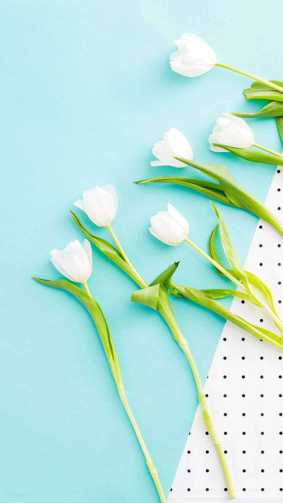 Cute Spring Phone White Tulips Background