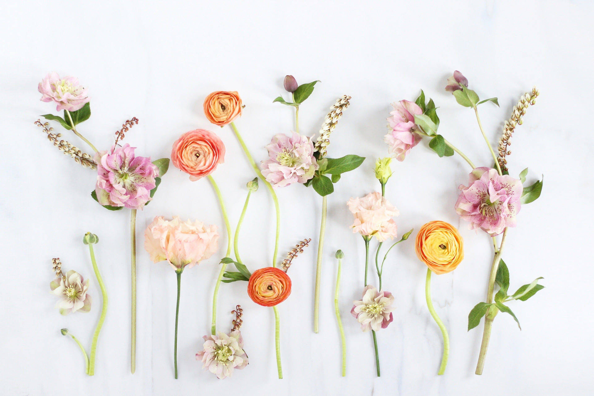 Cute Spring Round Flowers Background