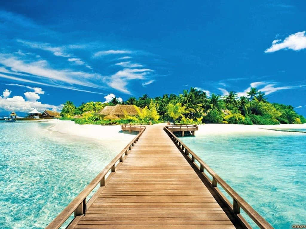 Cute Summer Beach Island Background