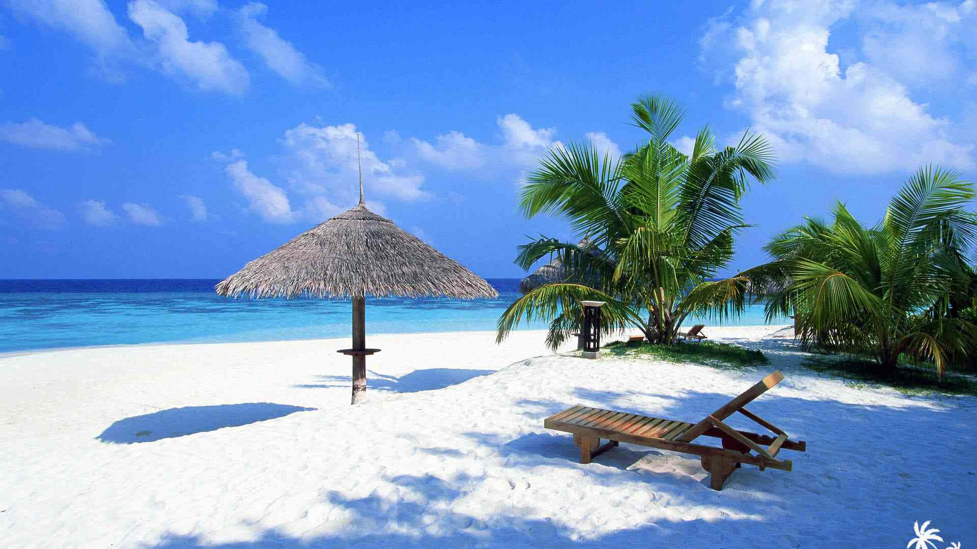 Cute Summer Beach Lounge Background