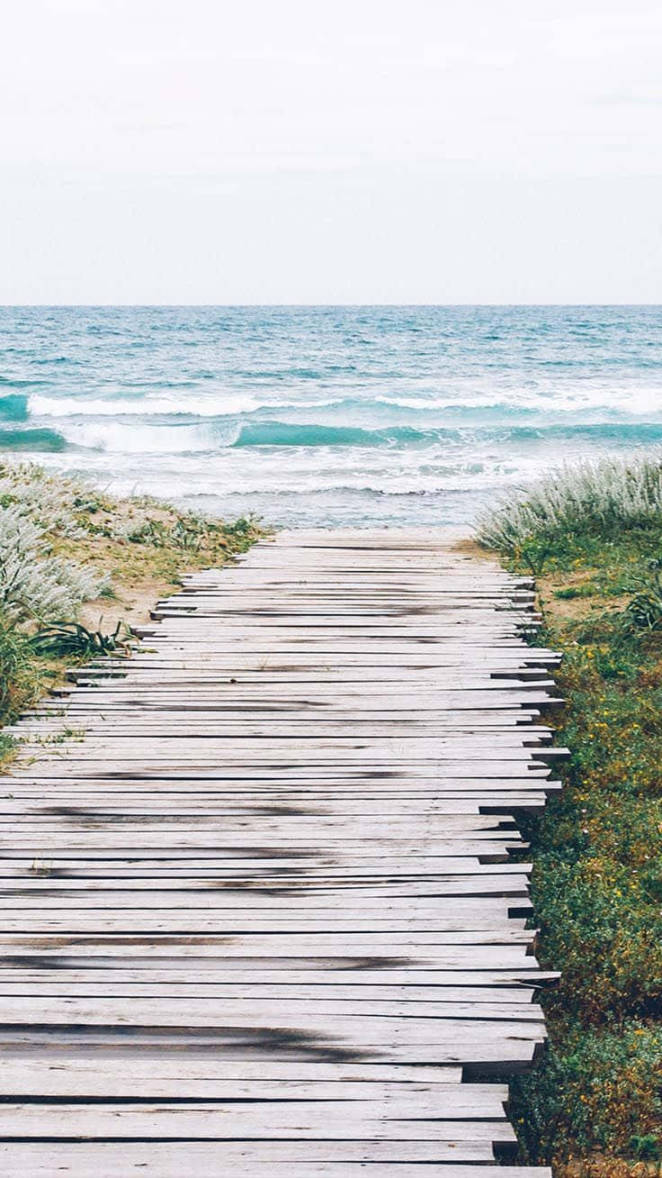 Cute Summer Beach Plank Bridge