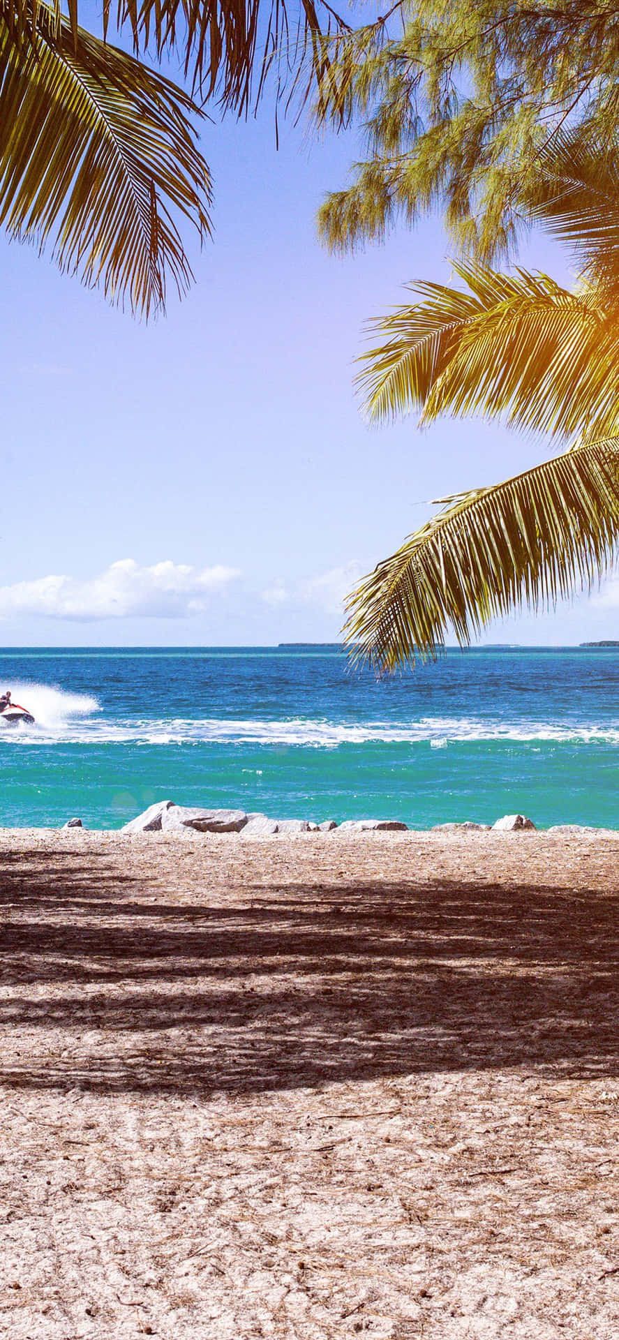 Cute Summer Beach Surrounded By Coconut Trees Background