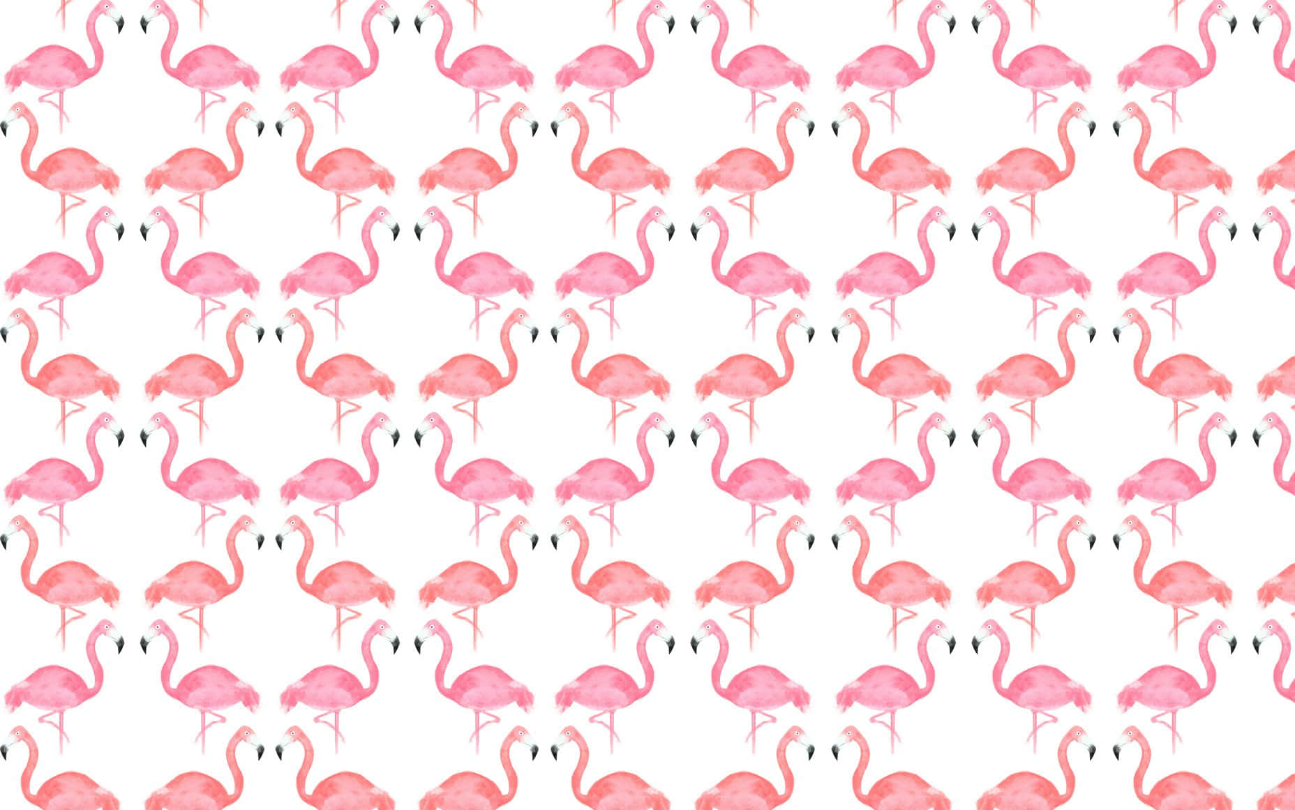 Cute Summer Desktop Pink Flamingos Background