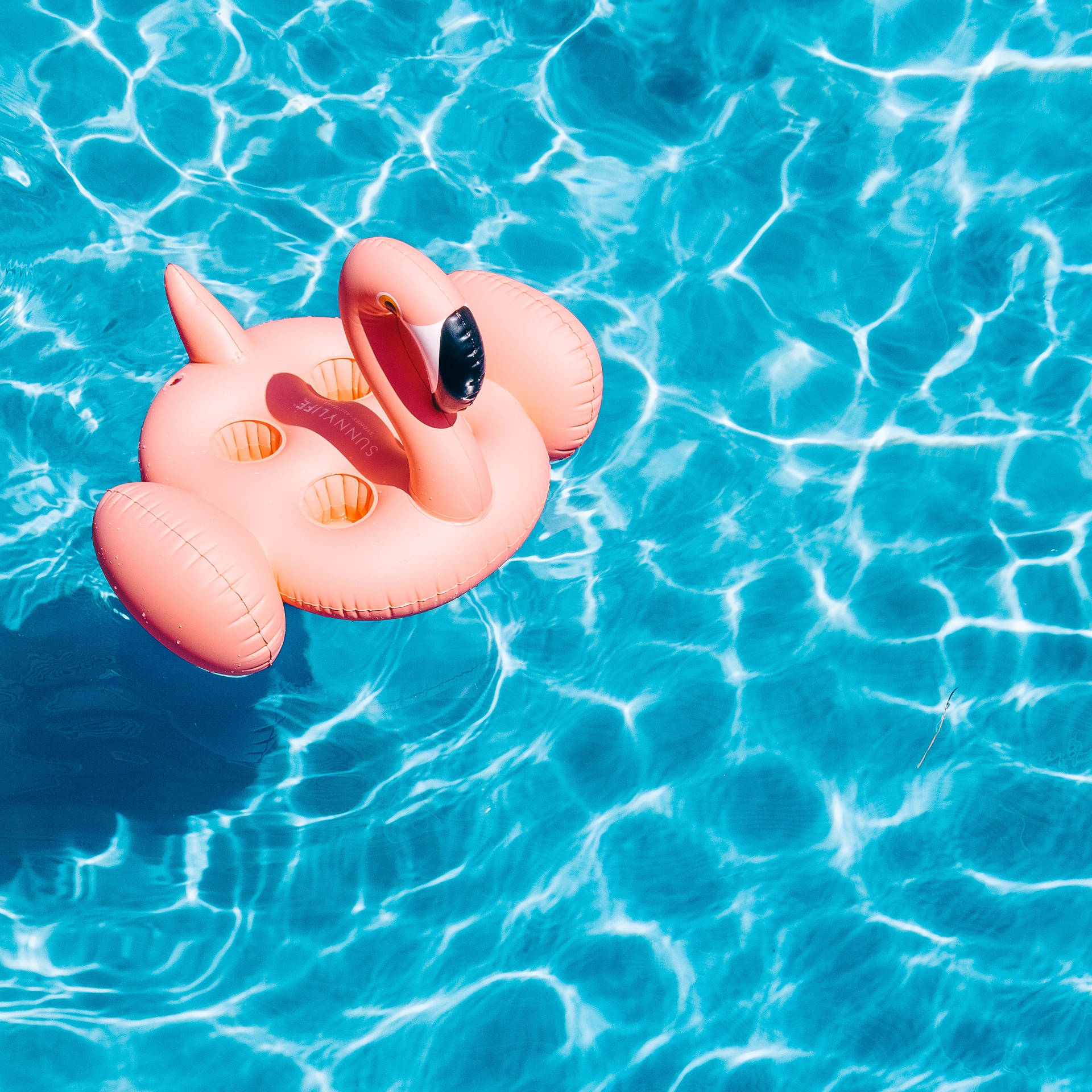 Cute Summer Flamingo Floater Background