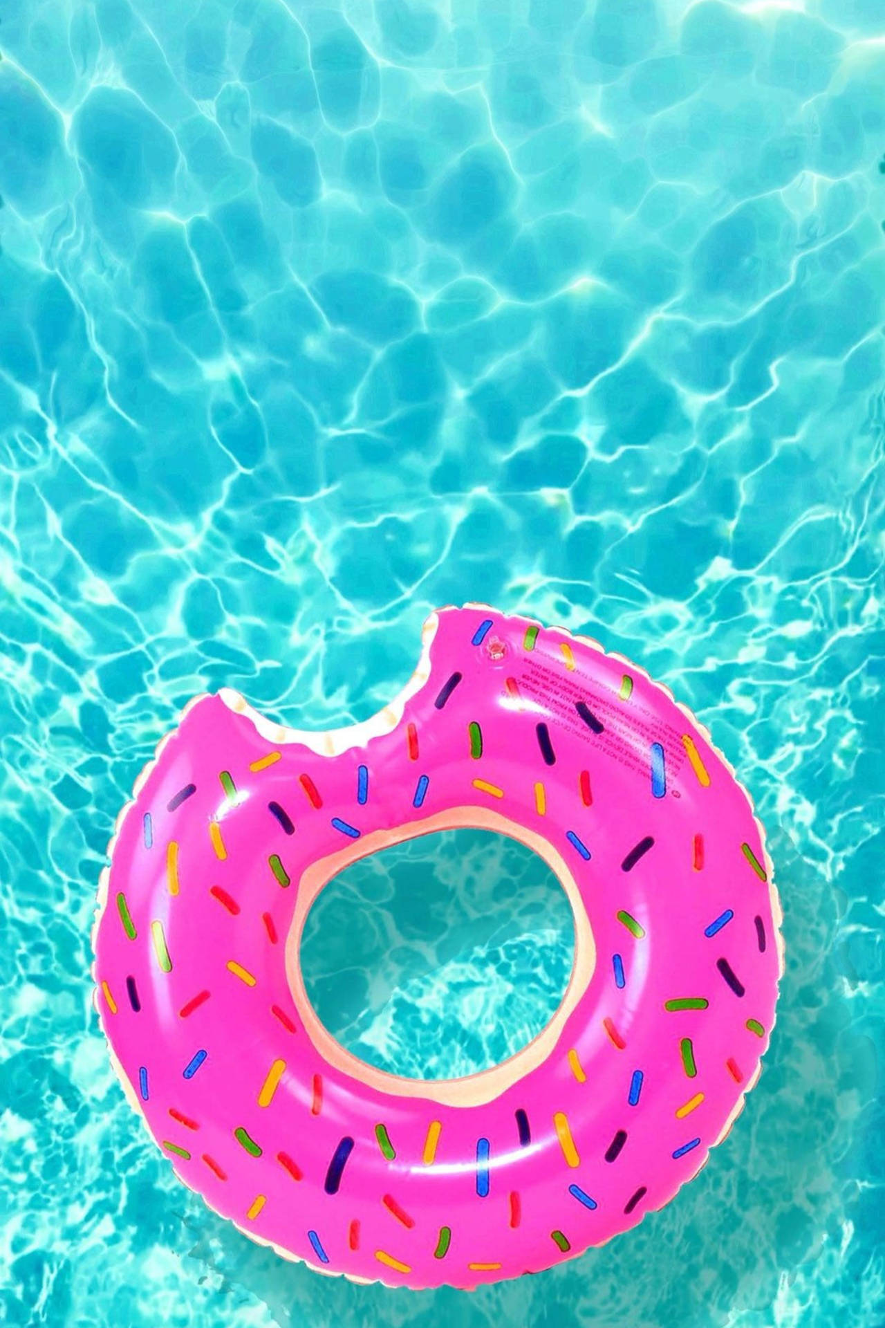 Cute Summer Fuchsia Pink Donut Background