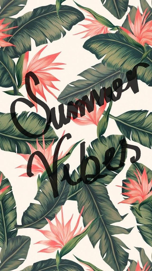 Cute Summer Vibes Background