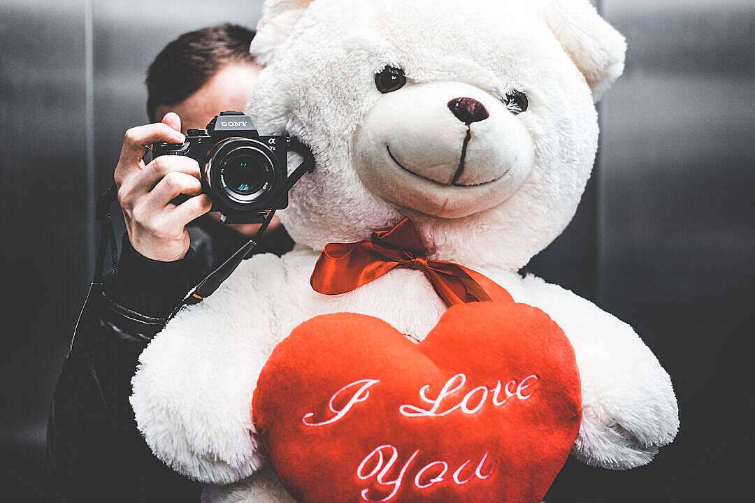 Cute Teddy Bear And A Woman Taking Photo Background